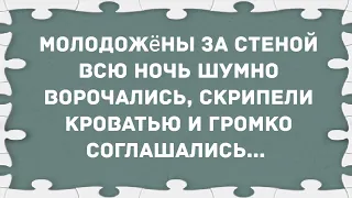 Молодожёны за стеной всю ночь скрипели   кроватью. Сборник Свежих Анекдотов! Юмор!