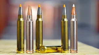 5 Reasons the .300 Win Mag Rules the Roost