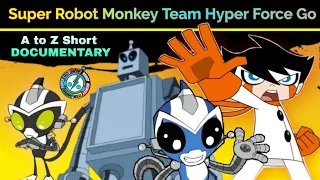 Facts about Super Robot Monkey Team Hyper Force Go in hindi | SRMTHFG in Hindi | Animation Vibes