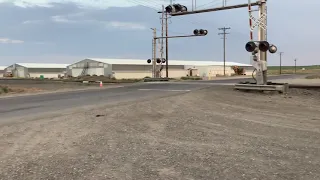 Strangest Railroad Crossing Ever (Irragon OR)