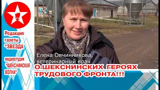 ТРИ ЗАРИСОВКИ О ТРЕХ ШЕКСНИНСКИХ ПРЕДПРИЯТИЯХ.