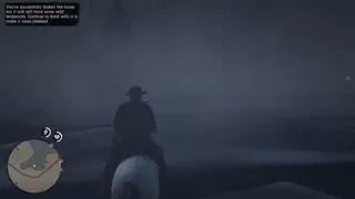 Red Dead Redemption 2 - Where to FIND and TAME the White Arabian Horse - Best horse in RDR2 Guide