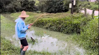 Dois pontos com muitos peixes mas o banhado estava minado de jundiás, pescaria!!!