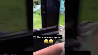 Куда везешь дрова?