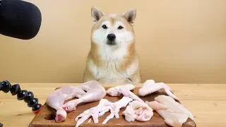 Dogs Review Raw Chicken Meat [Mukbang ASMR]