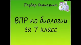 Биология. Разбор варианта ВПР по биологии 7 класс. Вариант 2