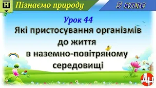 Пізнаємо природу. Урок 44. Які пристосування організмів до життя в наземно-повітряному середовищі