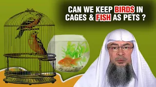 Halal or Haram - to keep Birds in cages and Fish as Pets | Sheikh Assim Al Hakeem.