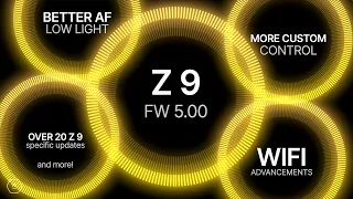 Nikon Z9 Firmware 5.00 Here | AF Even Faster In Low Light | More Custom Control & More | Matt Irwin