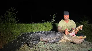 FLORIDA ALLIGATOR HUNTING