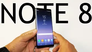 Samsung Galaxy Note 8 - первые впечатления