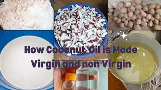 How Coconut Oil is Made Virgin oil and non Virgin Oil #howitsmade #viral #cookingvideo #coconutoil