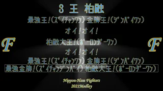 【アレンジ】日本ハムファイターズ2021 選手別応援歌＋αメドレー【MIDI】