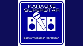 Die Fischerin vom Bodensee (Karaoke Version) (Originally Performed By Wildecker Herzbuben)