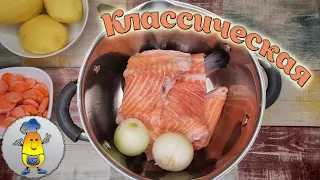 Домашняя уха из красной рыбы - классический рецепт. Как сварить уху из рыбы вкусно