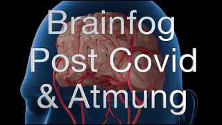 Brainfog, Post Covid und die Atmung