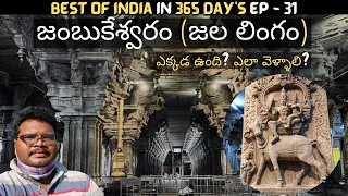 Jambukeshwara temple full tour in telugu | Jambukeshwaram temple information | Tamilnadu