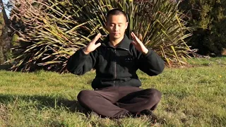 Shaolin bone marrow cleansing classic qigong - Xi Sui Jing