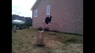 Frontflip on a longboard