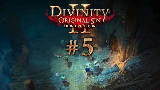 Divinity: Original Sin 2 #5 - Auf Erfahrungssuche | WellStreamed (Deutsch/German)