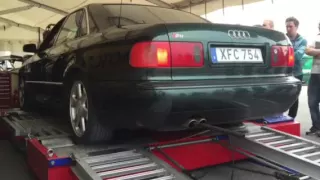 Audi S8 Dyno run