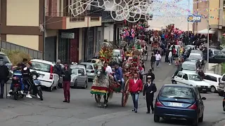 Sfilata carretti siciliani Adrano ct 2019 w s.Alfio