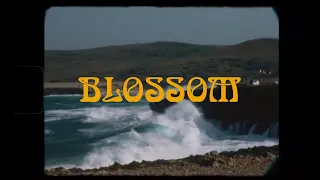 Shaolin Cowboy -  "Blossom" (Official)