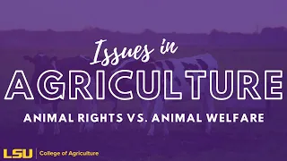 Animal Rights and Animal Welfare | Issues in Ag