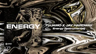 Tujamo x Jay Hardway feat. BayC - Energy (Instrumental  Mix)