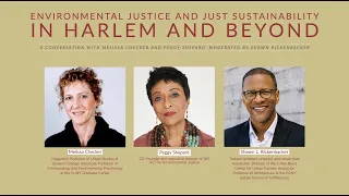 Environmental Justice and Just Sustainability in Harlem and Beyond