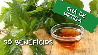 🌿🍵 COMO PREPARAR O CHÁ DE URTIGA