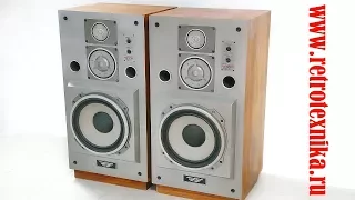 Speaker system "electronics 100 ° C-063" USSR 1989