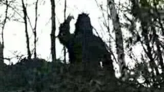 SCIENTISTS  SAY "SHOCKING SASQUATCH VIDEO IS REAL ". ( BIGFOOT CAUGHT ON TAPE )