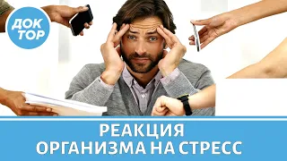 Что такое стресс и как им управлять