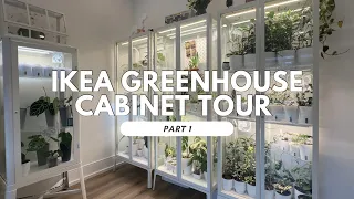 Ikea Greenhouse Cabinet Tour Part 1: Set-up Explained + Hoya Collection