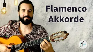 With these (simple) chords you will immediately sound like a flamenco guitarist!