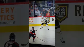 ImPastable angle goal by David Pastrnak