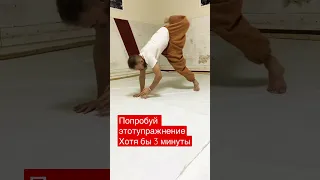 Animal gymnastics