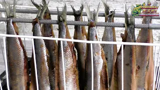 Lightly salted herring, the simplest recipe for pickling herring that you will love