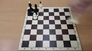 Шахматы.  Мат супер и мой любимый ход. Chess. Mat. Ajedrez. Estera.