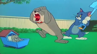 Tom and Jerry ♥ Episode 82 ♥ Hic cup Pup (1954) Part 1 Cartoon HD