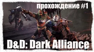 D&D: Dark Alliance -  Долина ледяного ветра Прохождение #1