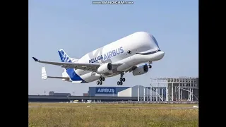 Airbus Beluga XL