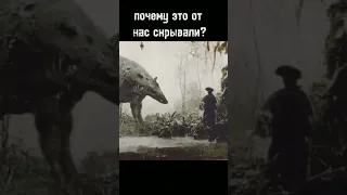 почему это от нас скрывали? #history #history #история #shorts