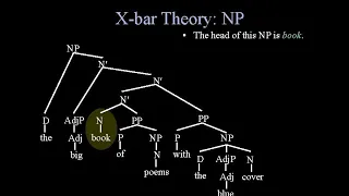 Syntax: X-Bar Theory: Lecture 1: Background and Specifier