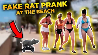 HILARIOUS RAT PRANK AT THE BEACH in SPAIN | THE BEST REACTIONS EVER | Kimoo Pranks