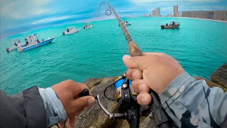 I've Never Seen More Fish Caught At This Jetty! (CRAZY)