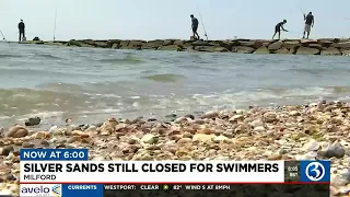 Silver Sands swimming area off limits today