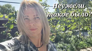 💥Вот и вам досталось! Современные люди не поймут... Как успеть все за 3 часа?