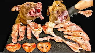 ASMR MUKBANG PITBULL EATING RAW FOODS DUCK HEADS LEGS PORK NOSE